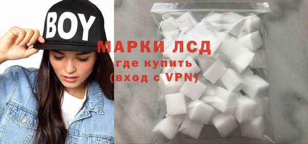 прущие грибы Алзамай