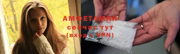 прущие грибы Алзамай