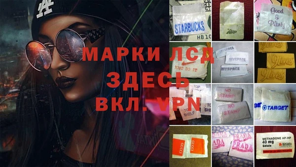 ПСИЛОЦИБИНОВЫЕ ГРИБЫ Алексеевка