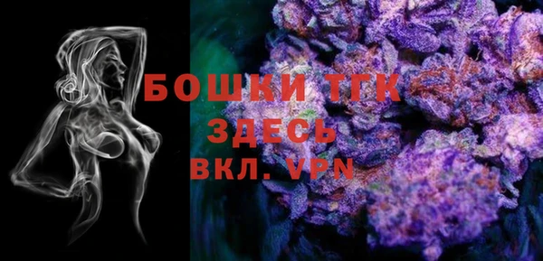 дурь Алексин