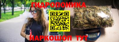 ECSTASY Обь