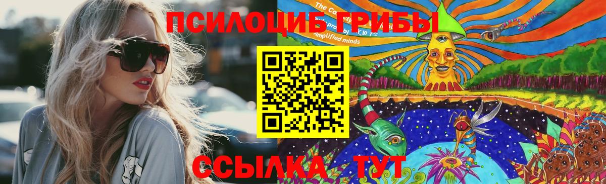 Серов  хочу   Вход с VPN  Псилоцибиновые грибы мухоморы  Галлюциногенные грибы GOLDEN TEACHER 